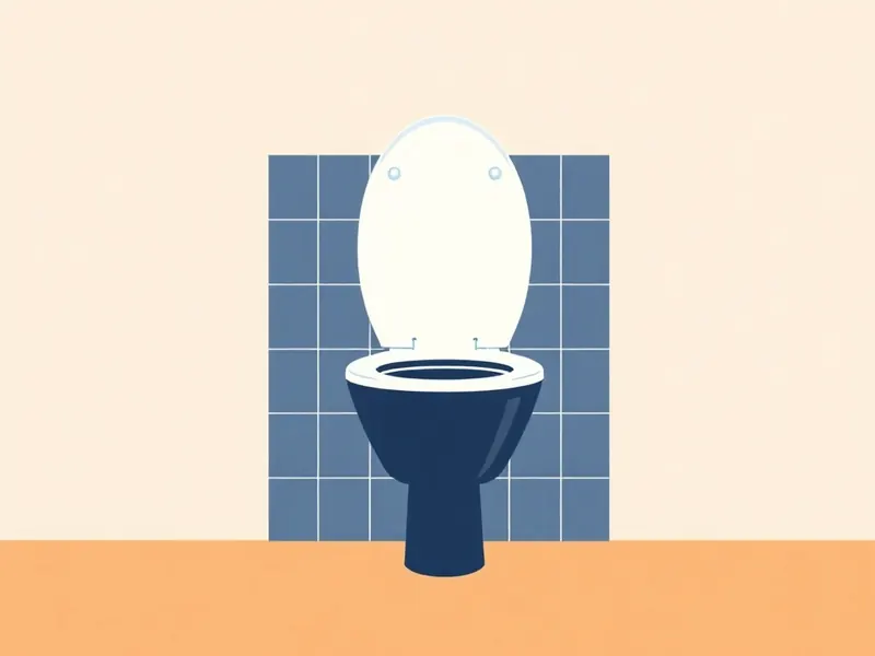 Remplacement de WC à Taverny
